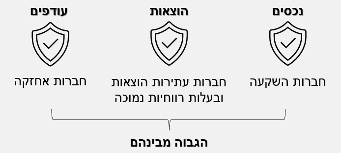 רווחים כלואים וחברות ארנק - מגני מס קנס