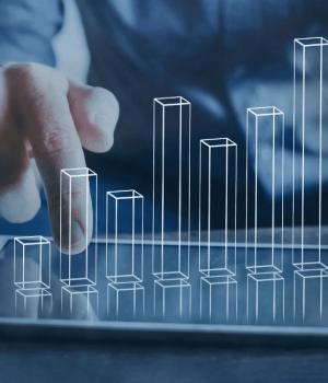 אסטרטגיית השקעות אסטרטגיית השקעות